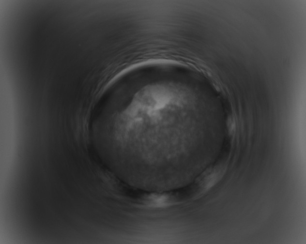 X0000095670570200801081211