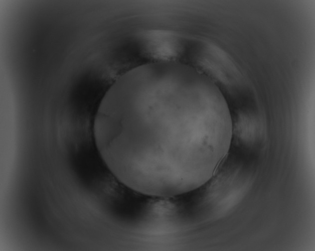 X0000095670572200801081211