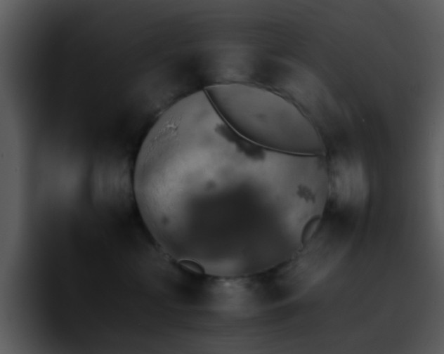 X0000095670573200801081211