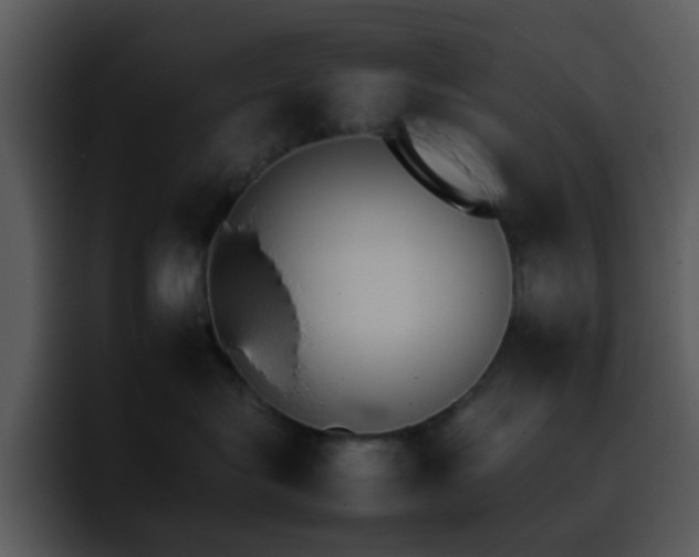 X0000095670575200801081211