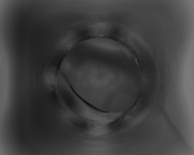 X0000095670576200801081211