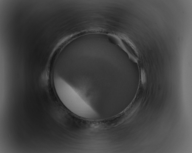 X0000095670579200801081210