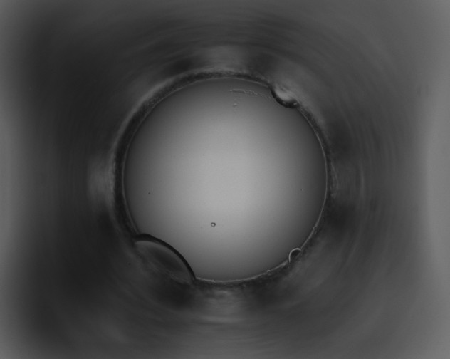 X0000095670580200801081210