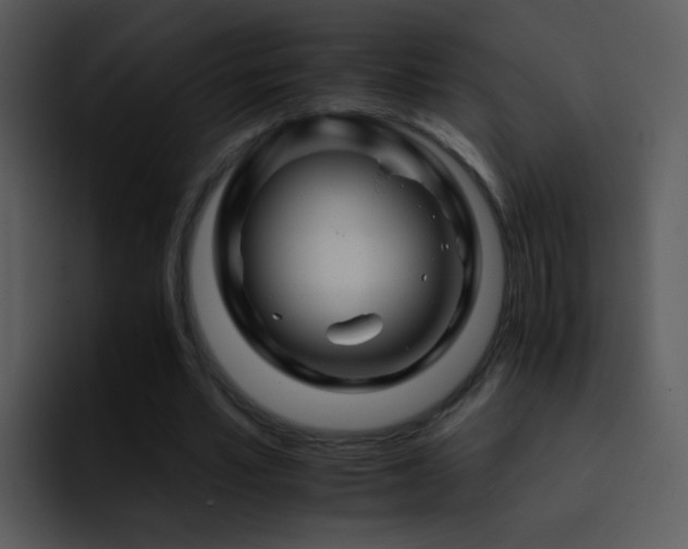 X0000095670581200801081210