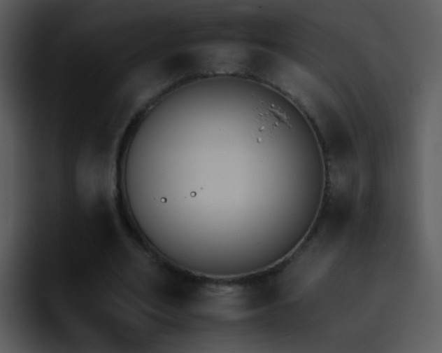 X0000095670582200801081210