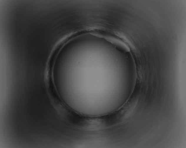 X0000095670583200801081210