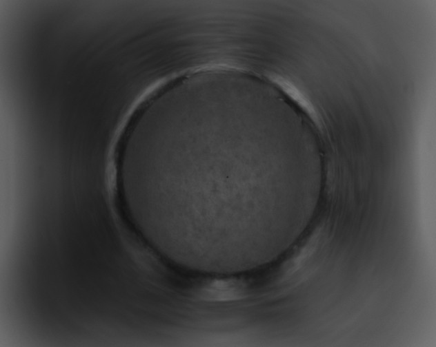 X0000095670584200801081210