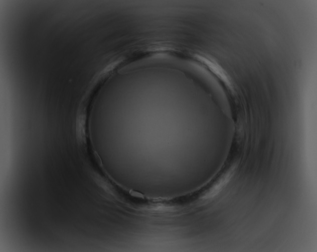 X0000095670585200801081210