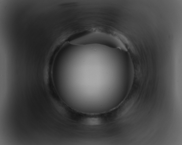 X0000095670586200801081210