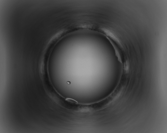 X0000095670587200801081210
