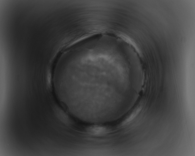 X0000095670589200801081210