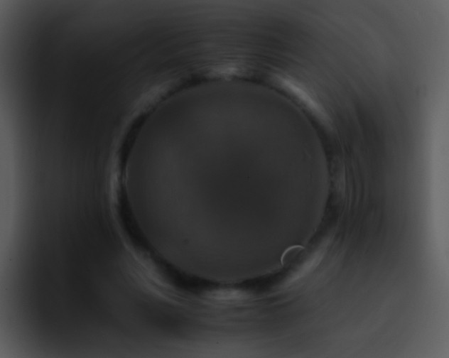 X0000095670590200801081210