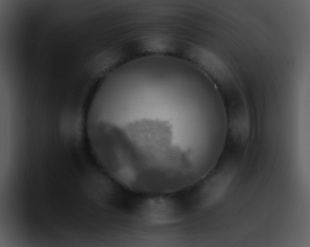 X0000095670591200801081210