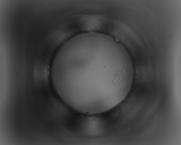 X0000095670592200801081210