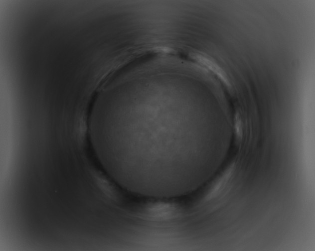 X0000095670593200801081210
