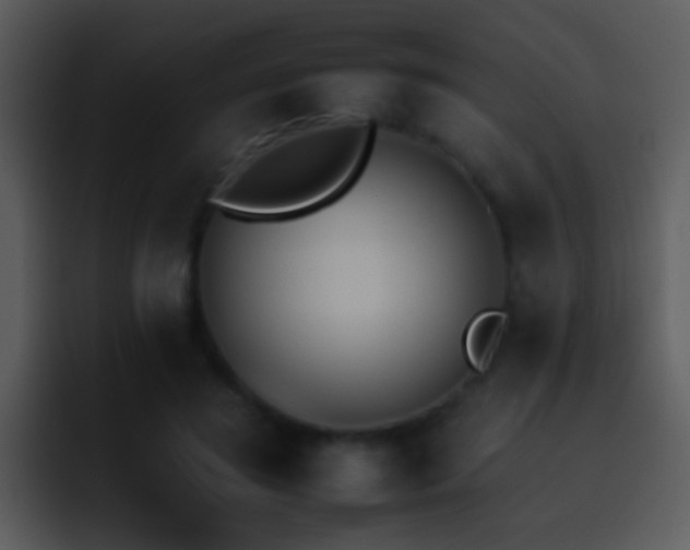 X0000095670596200801081210