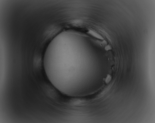 X0000095670597200801081210