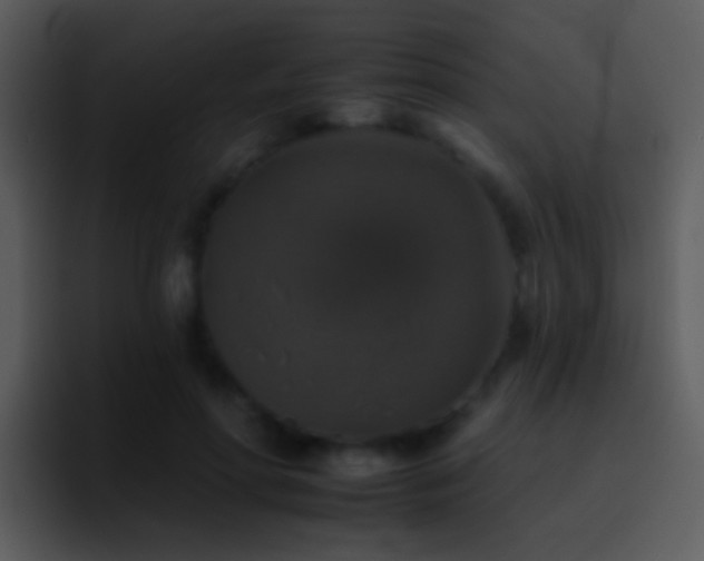 X0000095670598200801081210