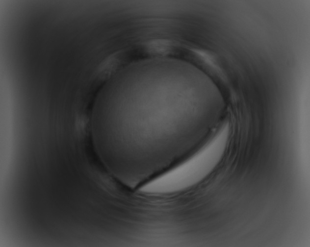 X0000095670601200801081210