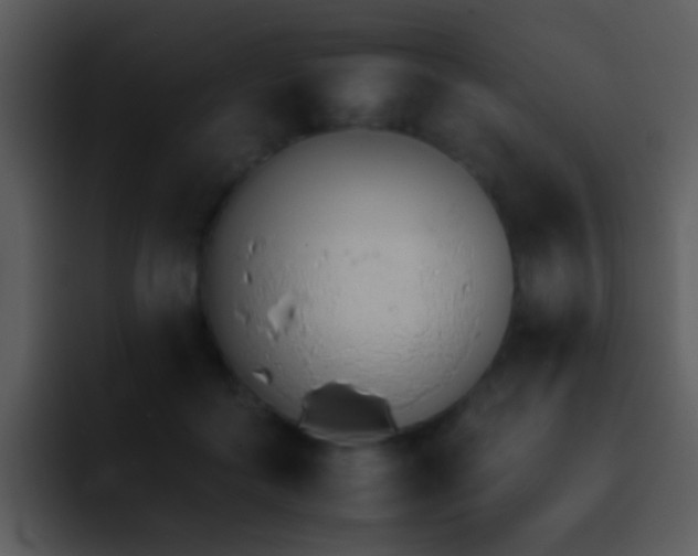 X0000095670602200801081210
