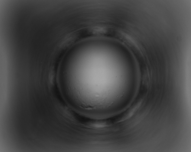 X0000095670604200801081210