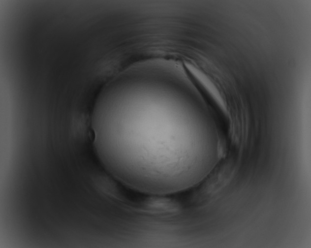 X0000095670605200801081210