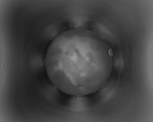 X0000095670607200801081210