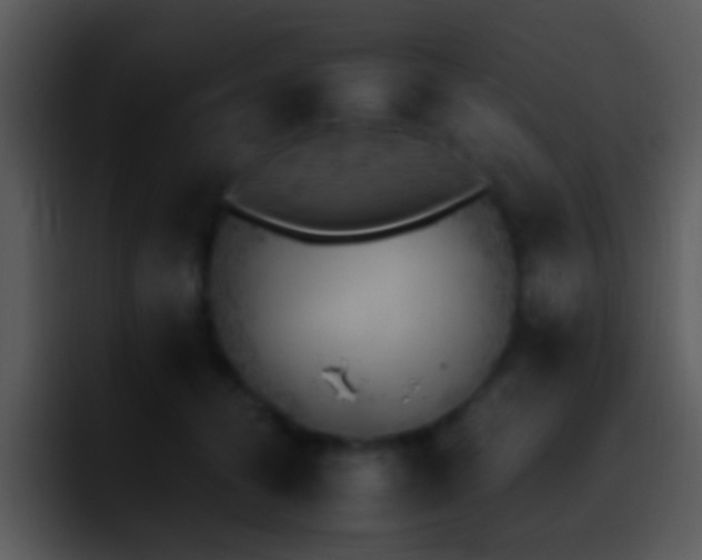 X0000095670608200801081210