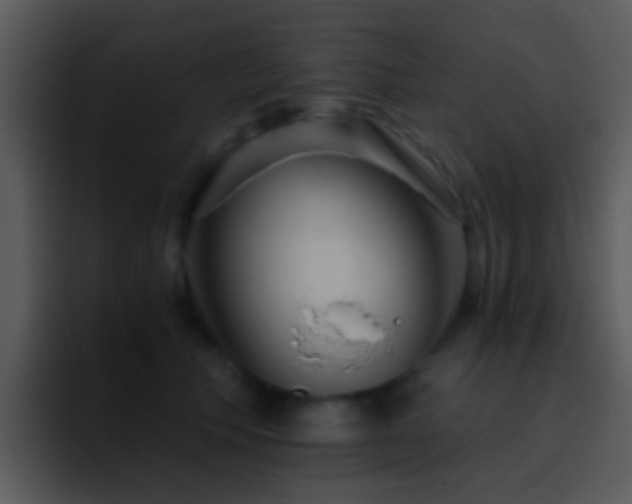 X0000095670609200801081210
