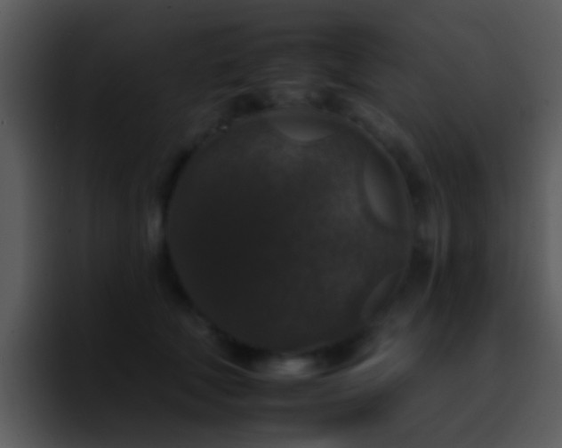 X0000095670610200801081210