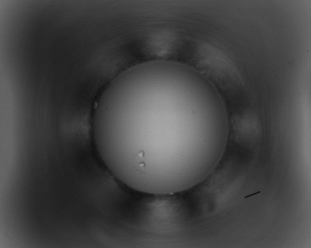 X0000095670612200801081210