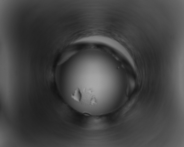 X0000095670613200801081210