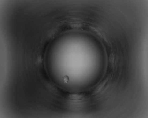X0000095670614200801081210