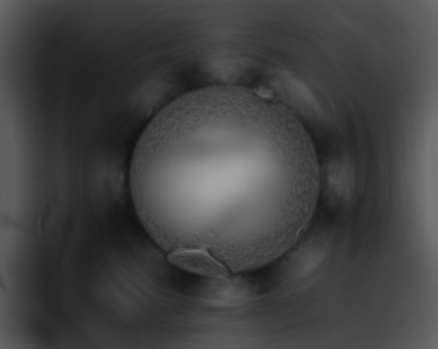 X0000095670615200801081210