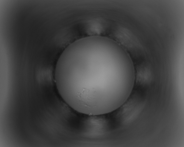 X0000095670616200801081210