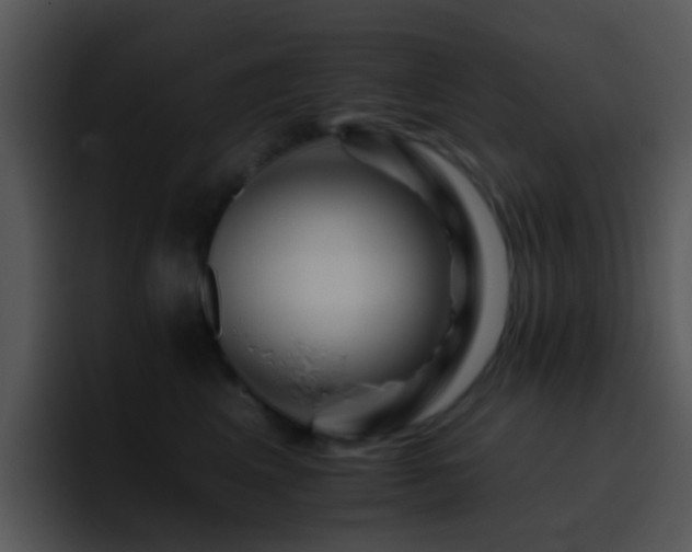 X0000095670617200801081210