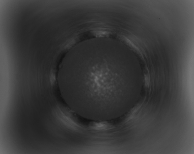 X0000095670618200801081210