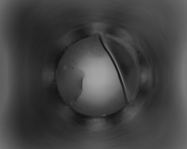 X0000095670619200801081210