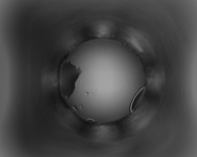 X0000095670620200801081210