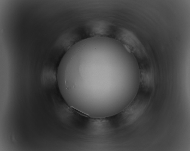 X0000095670621200801081210