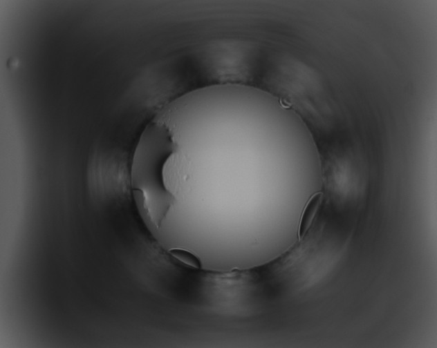 X0000095670622200801081210
