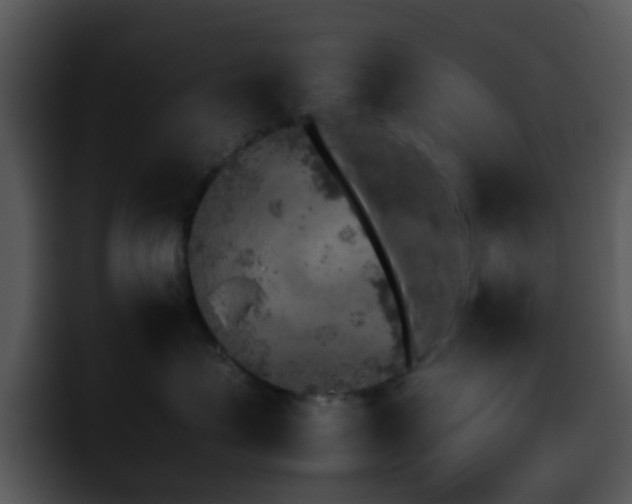 X0000095670623200801081210