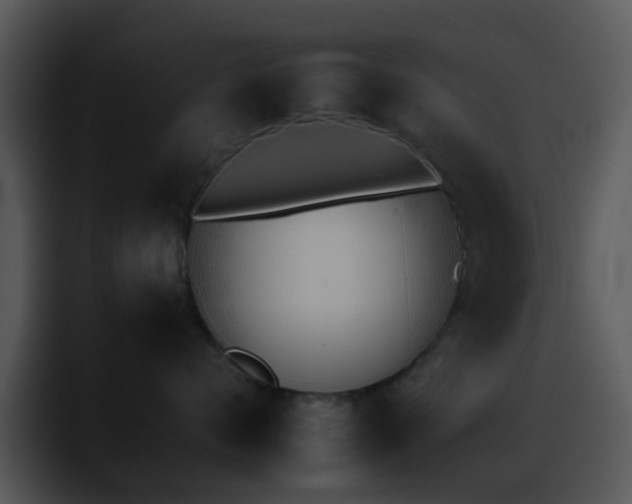 X0000095670624200801081210