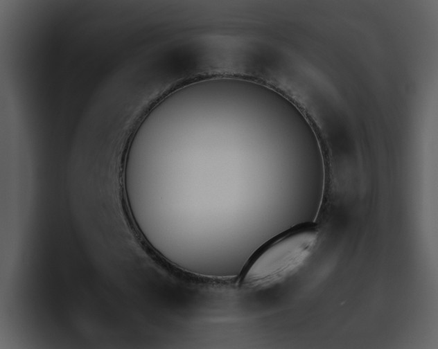 X0000095670625200801081209