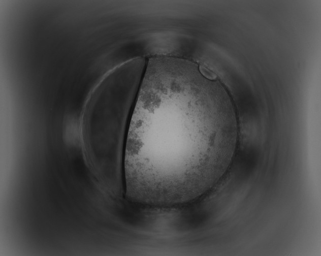 X0000095670626200801081209