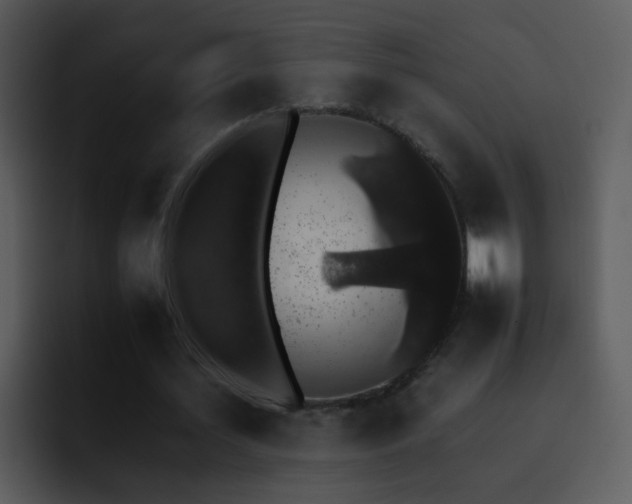 X0000095670627200801081209