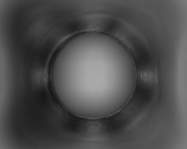 X0000095670628200801081209