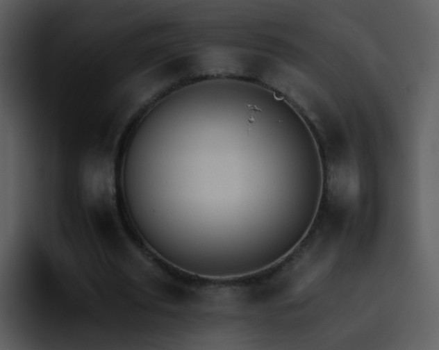 X0000095670629200801081209