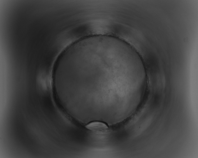 X0000095670630200801081209