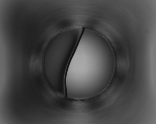 X0000095670633200801081209